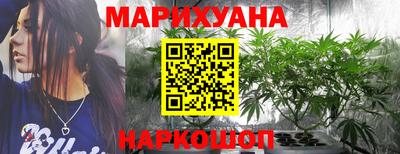 mdpv Владивосток