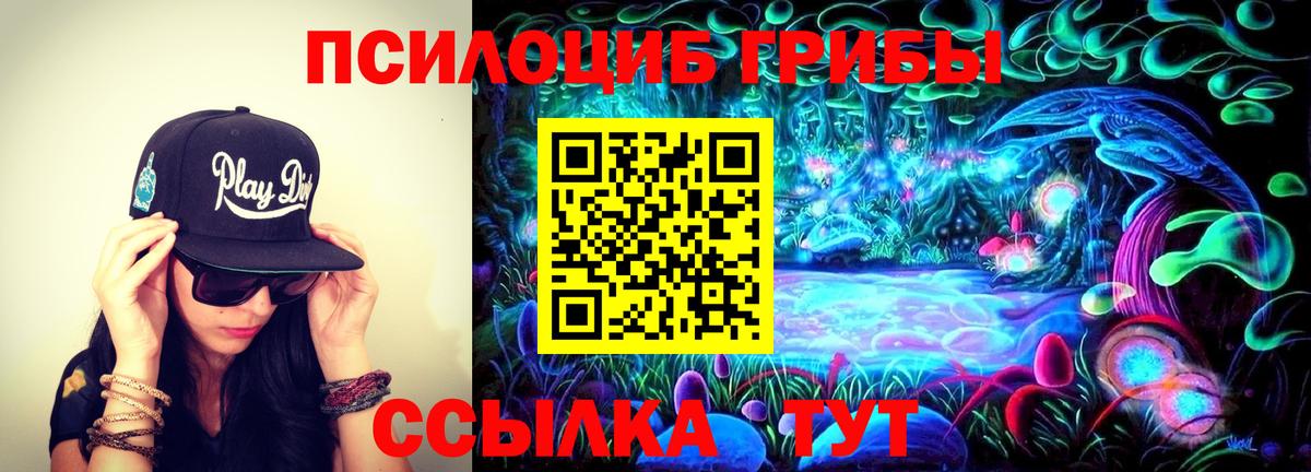 Дмитров  Галлюциногенные грибы Psilocybe  Псилоцибиновые грибы Cubensis  Вход с VPN 